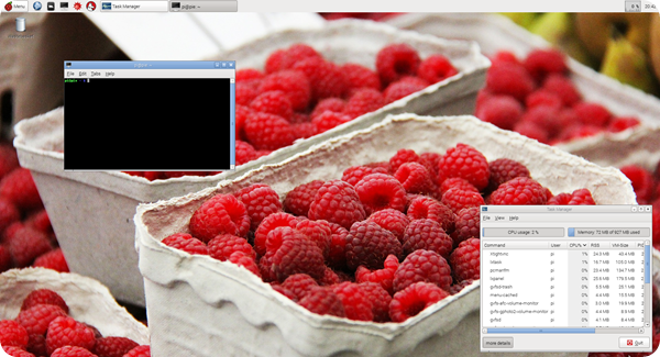 image of Raspberry Pi desktop
